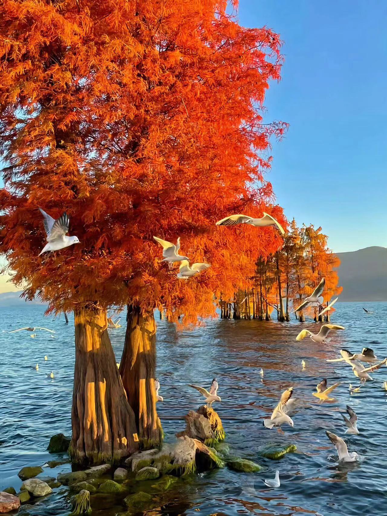 Highland Secrets & Smiles of the Tropical Rainforest