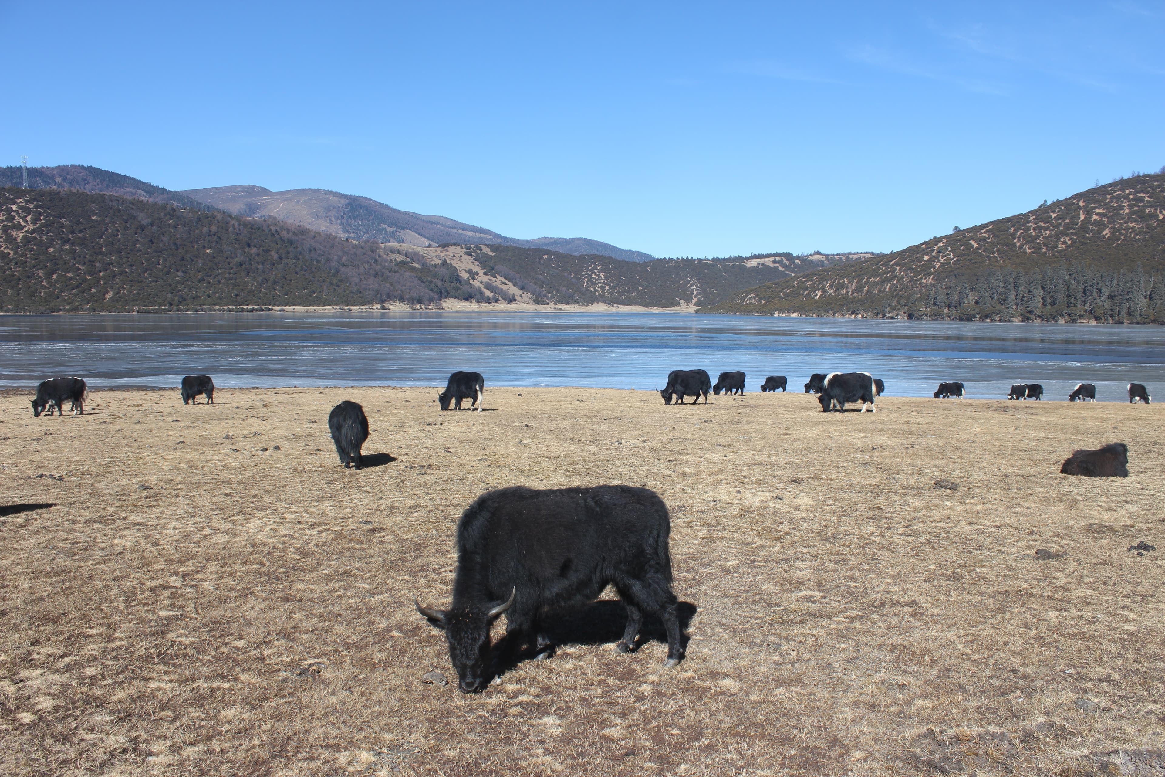 Lakes of the high country