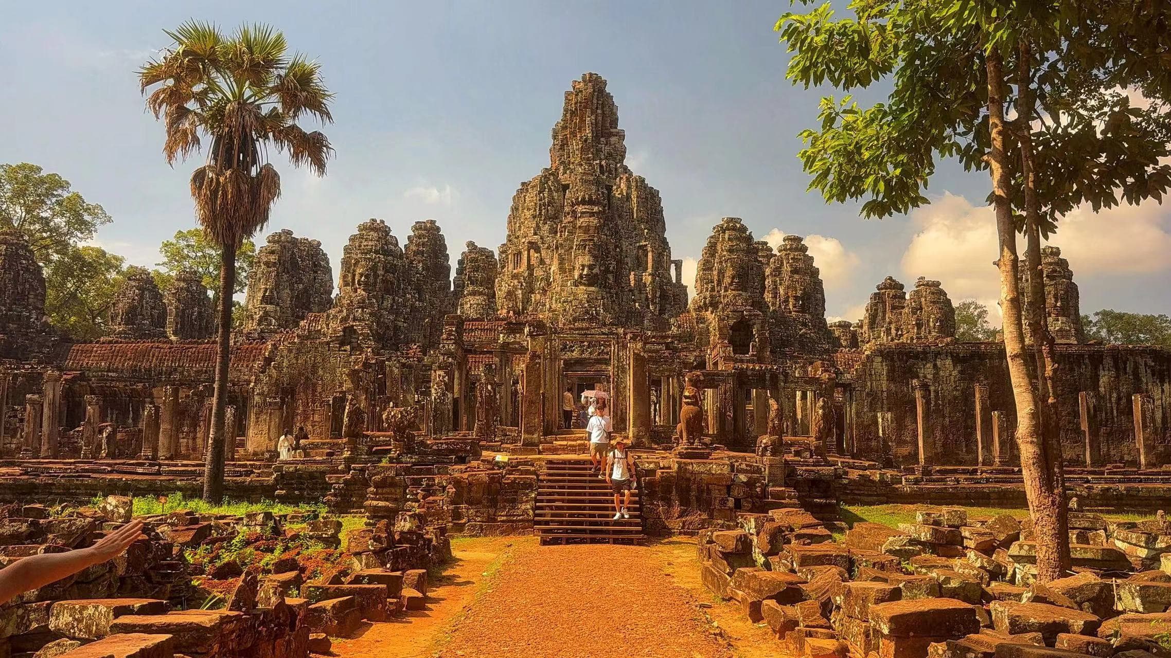 Angkor in stone and roots