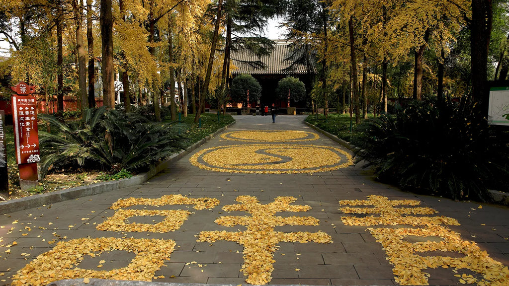 Across Living Legends: From the Great Wall to the Panda