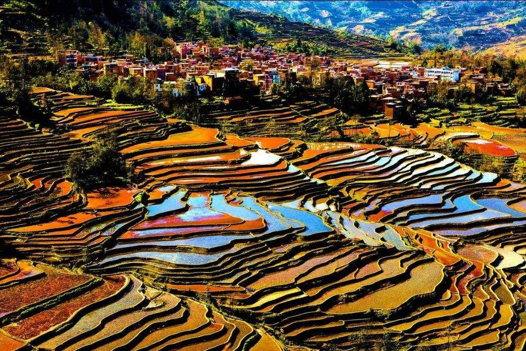 Pastoral Song of Mountains & Waters: Guangxi Escape