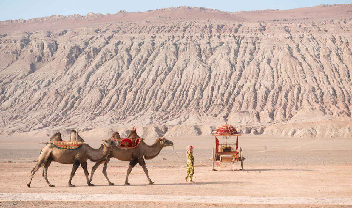 Silk Road Songs: Chang’an Breezes to the Taklamakan’s Whisper